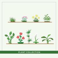 pequeño planta colección para web o impresión vector