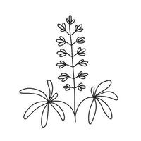 Vector stock illustration with single object, plant, hand drawn, doodle style.