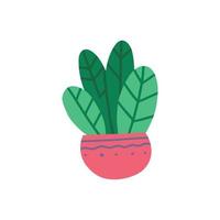 House plant in pot. Beautiful hand drawn isolated vector illustration.