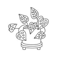 Vector stock illustration with single object, home plant, hand drawn, doodle style.