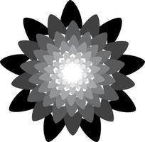 mandalas on monochrome vector