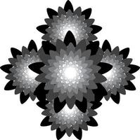 mandalas en monocromo vector