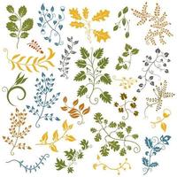 Hand drawn set of leaves and flowers. Decorative elements. Vector illustration