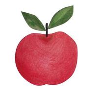 Red apple on a white background. watercolor illustration vector