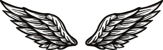 wings vector image illustrations