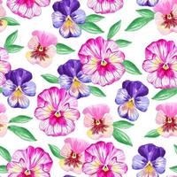 Watercolor pink and purple pansy flowers seamless pattern botanical hand drawing background for gift paper, fabric, decorations vector