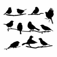 Collection of Vector Silhouettes of Birds isolated on white background