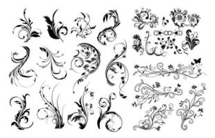 remolino floral ornamento decorativo conjunto vector