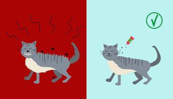 pulga y garrapata actual soluciones proteger para gatos.repeles y mata pulga y garrapata. el gato pica desde un pulga morder. tratamiento de un gato con gotas en contra pulgas y garrapatas.gris gatito. vector ilustración.