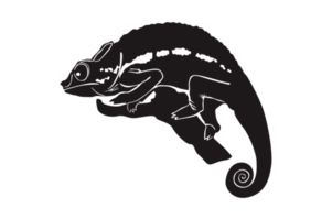 Black Silhouette Of Chameleon png