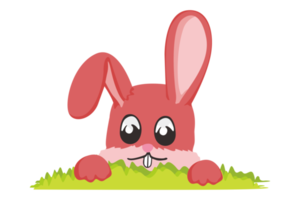 Easter Bunny - Cute Rabbit Hiding Behind the Grass png