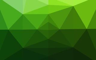 Light Green vector abstract polygonal texture.