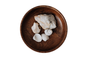 marron en bois bol avec pierre et mer coquilles isolé sur une transparent Contexte png
