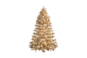 Christmas decoration isolated on a transparent background png