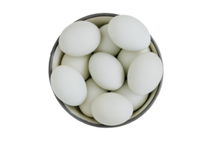 with eggs isolated on a transparent background png