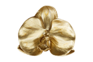 d'or décoration feuille isolé sur une transparent Contexte png