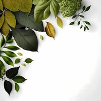 leaf design illustration photo
