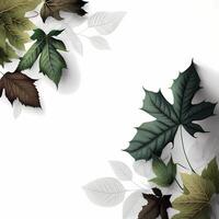 leaf design illustration photo