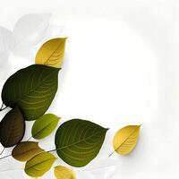 leaf design illustration photo