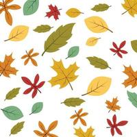 autumn background vector template