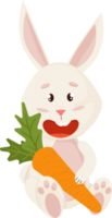 personagem de coelho. sentado e rindo engraçado, feliz coelho de desenho animado de páscoa com cenoura png