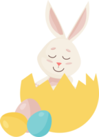 Bunny. Cute Rabbit into Broken Egg with three eggs. PNG