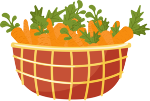 cesta con diverso naranja zanahorias. png