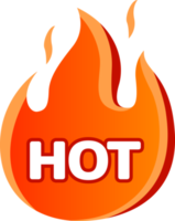 varm försäljning pris etiketter mall mönster med flamma. png