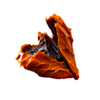 Buffalo wings png, transparent background png