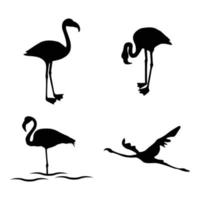 flamingo icon vector