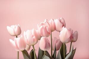 bunch of delicate pink tulips arranged against a blank pink background, photo