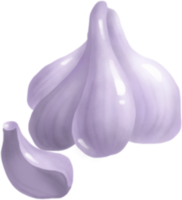 Garlic. Vegetable. Digital illustration png