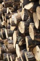 Wall of the stacked wood pile as background. Tree stumps background. Dry oak firewood stacked in a pile. Firewood pile stacked chopped wood trunks. Natural wood background. photo