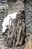 Firewood is stacked in front of a house in a rural area. pile of firewood photo