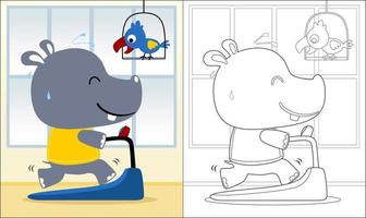 Vector illustration of cute hippo cartoon running on a treadmill with cockatoo, coloring book or page