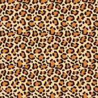 Seamless vector pattern of leopard skin and fur in high quality.