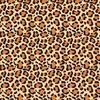 Seamless vector pattern of leopard skin and fur in high quality.