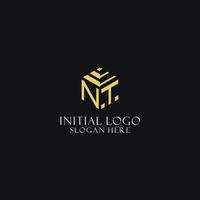 NT initial monogram with hexagon shape logo, creative geometric logo design concept vector