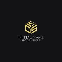 DS initial monogram with hexagon shape logo, creative geometric logo design concept vector