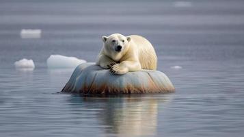 polar oso en hielo ai foto