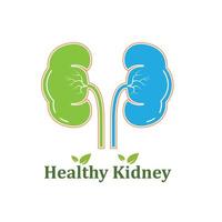 kidney icon vector illustration design