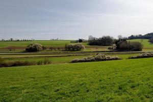 Landscape scene outdoor wildlife morning green season in the summer photo