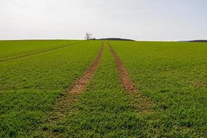 Sunny landscape field rural outdoor adventure image photo