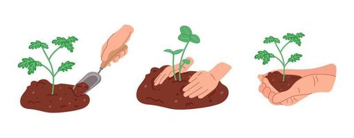 Set hand drawn illustrations of planting tree in the ground with human hands. Home gardening. vector