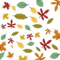 autumn background vector template