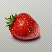 Strawberry with green leaf isolated vector