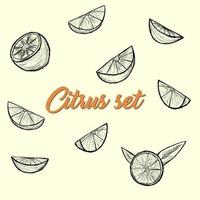 Hand drawn vector illustration - Collections of Lemons.