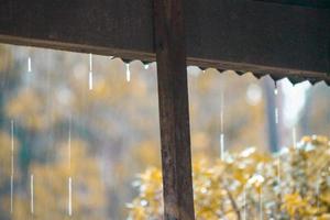 photo of raindrops during the day