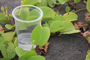 Photo of a clear cup filled with a little water