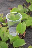 Photo of a clear cup filled with a little water